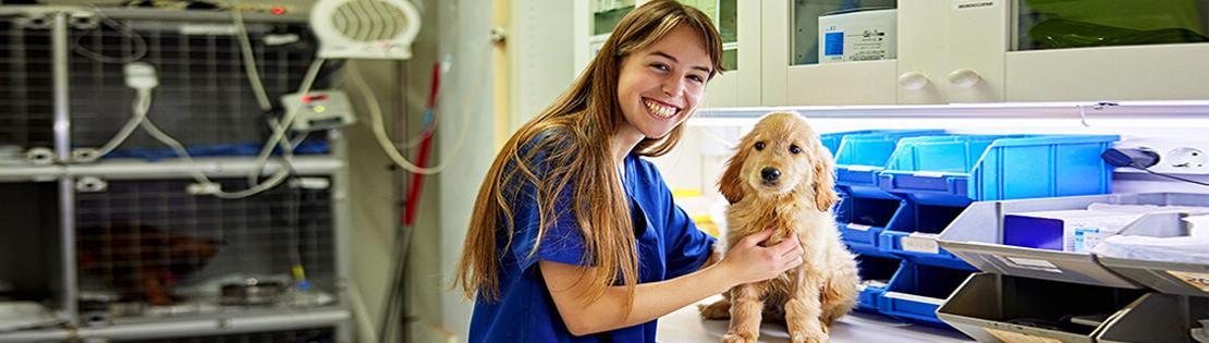 A veterinarian student smiles while treating a dog